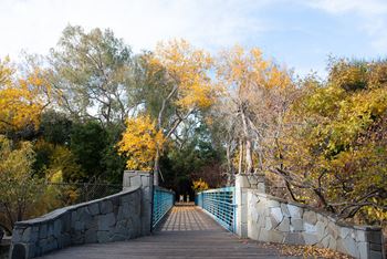 A stone bridge with a blue railing leads across a body of water.